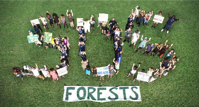 sos-forests